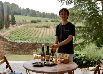 Opkomst van biologische en natuurwijnen in Spanje