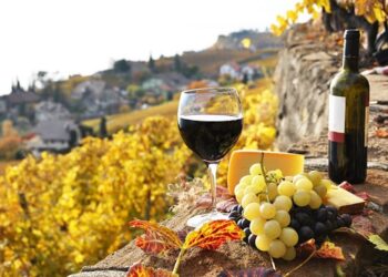 Welke wijnen zijn het populairst onder Spanjaarden?